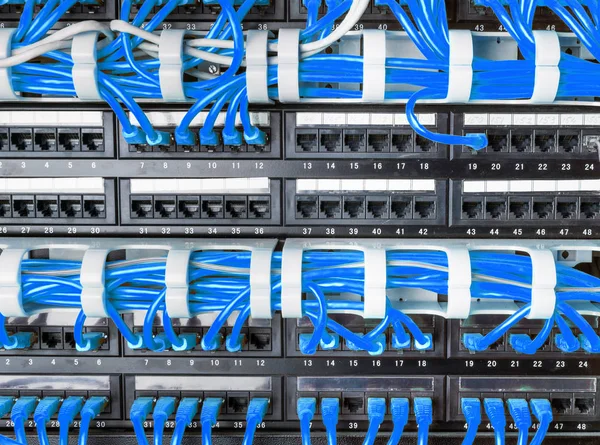 Estante del servidor con cables azules — Foto de Stock