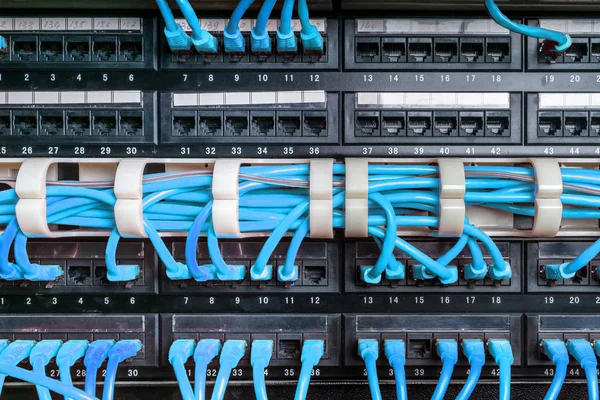 Server rack with blue cables — Stock Photo, Image