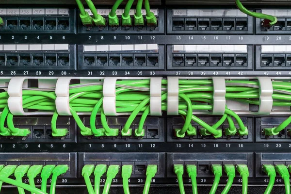 Sunucu raf yeşil kablo ile