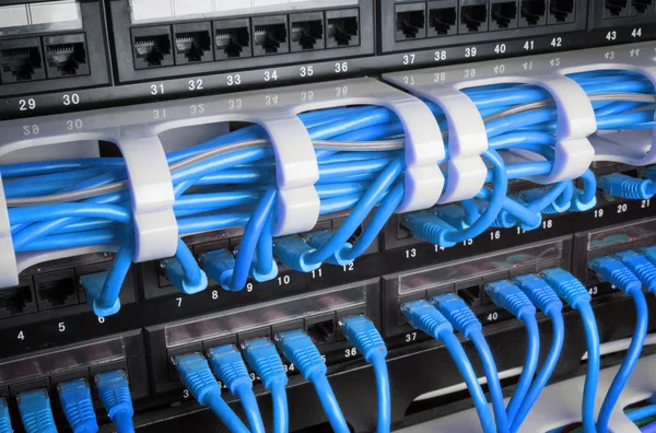 Серверная стойка с голубыми кабелями — стоковое фото