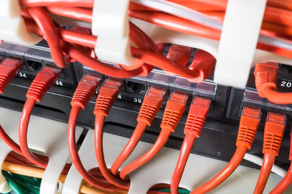 Geçiş yapmak için bağlı olan kırmızı ağ kabloları