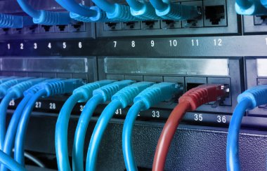 Mavi Internet yama kablosu kablolar ile Server kabin