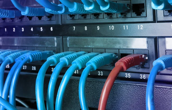 Estante del servidor con cables de cable de conexión a Internet azul —  Fotos de Stock