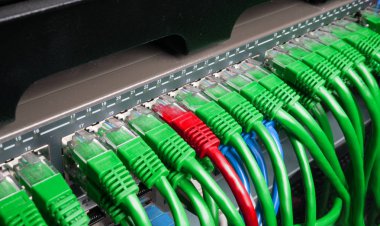Yeşil ve kırmızı Internet yama kablosu kablolar ile Server kabin