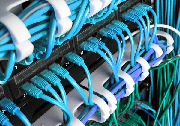 Mavi Internet yama kablosu kablolar ile Server kabin