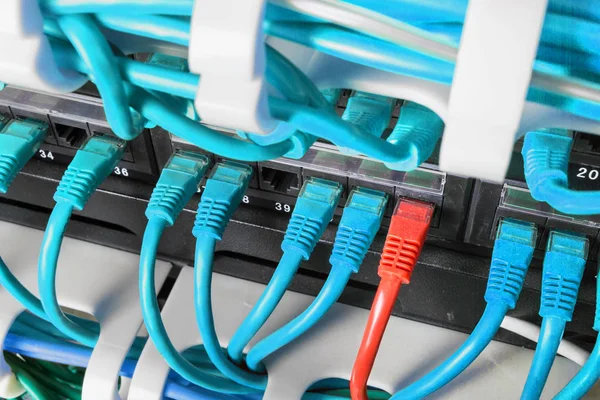 Server rack with blue and red internet patch cord cables — Stock Photo, Image