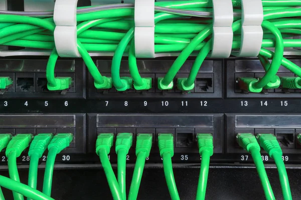 Estante del servidor con cables de cable de conexión a Internet verde — Foto de Stock