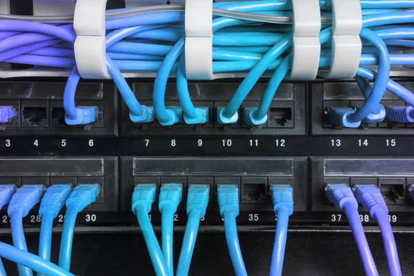 Server rack with blue internet patch cord cables — Stock Photo, Image