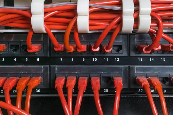 Cables de red rojos conectados al interruptor — Foto de Stock