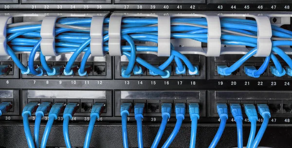 Серверна стійка з синіми кабелями шнурів інтернету — стокове фото