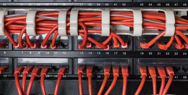 Cables de red rojos conectados al interruptor — Foto de Stock