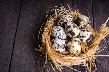 Yuvadaki bıldırcın yumurtaları ahşap arka planda