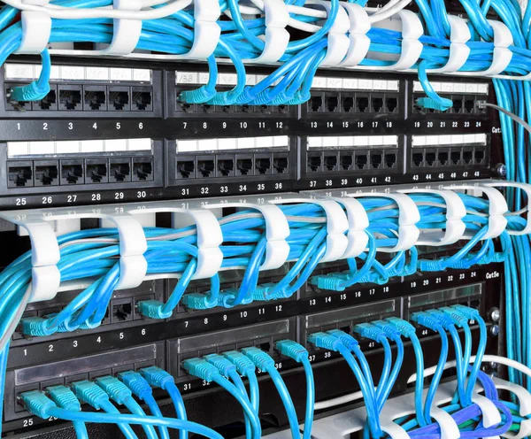 Serverschrank mit blauen Internet-Patchkabel — Stockfoto