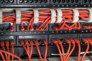 Geçiş yapmak için bağlı olan kırmızı ağ kabloları