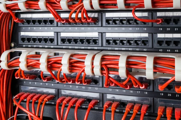 Panel de red, conmutador y cable de Internet rojo en el centro de datos. Conmutador negro y cables Ethernet rojos, concepto de centro de datos . — Foto de Stock