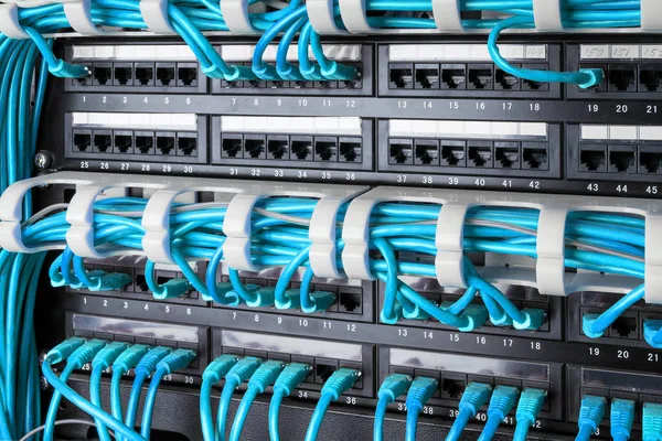 Мережева панель, комутатор та інтернет-кабель у центрі обробки даних. Чорний комутатор і сині кабелі Ethernet, концепція Центру обробки даних . — стокове фото