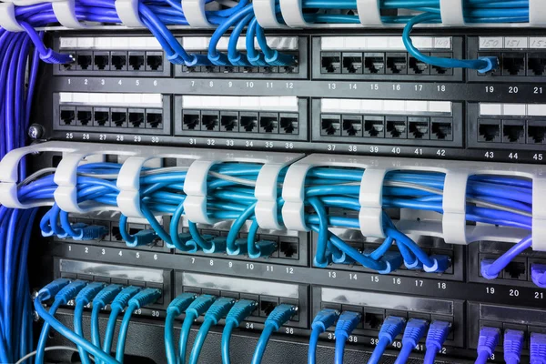 Panel de red, conmutador y cable de Internet en el centro de datos. Interruptor negro y cables Ethernet azules, concepto de centro de datos . — Foto de Stock
