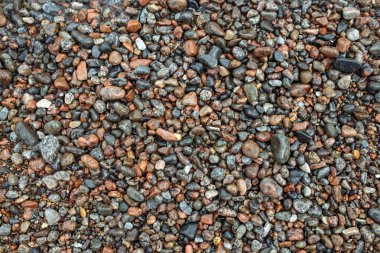 Islak renkli deniz taş doku