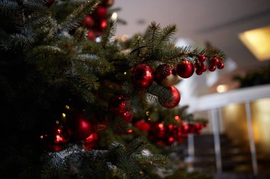 Noel ağacında Noel süslemeleri