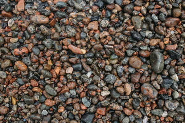 Wet colored sea stones texture — Stock Photo, Image