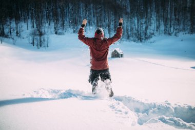 dağların karlı bir ormanda üzerinde turist atlar