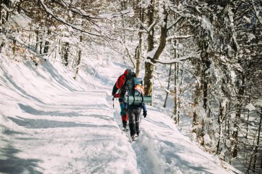 dağların karlı bir ormanda turist devam