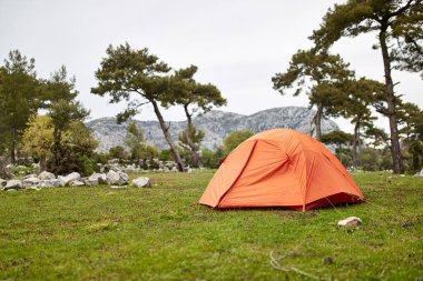 Ormanda turuncu çadır