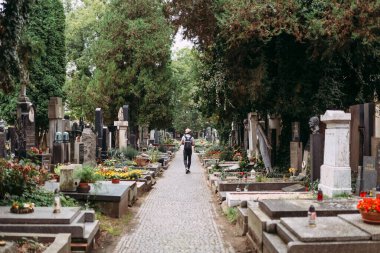 Prag mezarlığına karşı mavi gökyüzü Prag 'daki antik mahzenler, arka planda Noel ağaçları ve gökyüzü