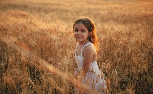 Niña Vestido Blanco Encuentra Campo Trigo Atardecer — Foto de Stock