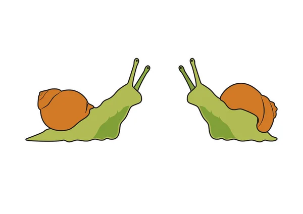 Snail vector ilustrație — Vector de stoc
