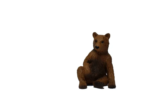 Urso sobre um fundo branco — Fotografia de Stock