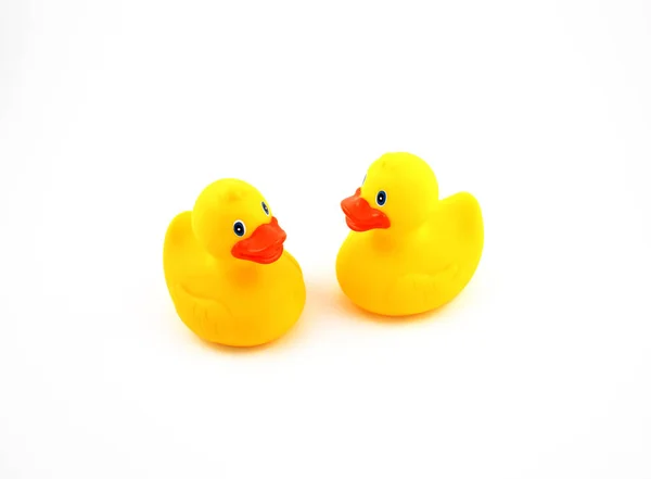 Rubber Duck stock images