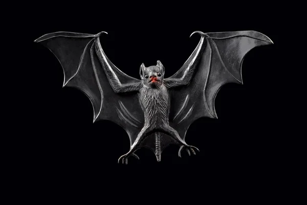 Фотографии Летучих Мышей Летучая Мышь Черном Фоне Хэллоуинская Летучая Мышь — стоковое фото
