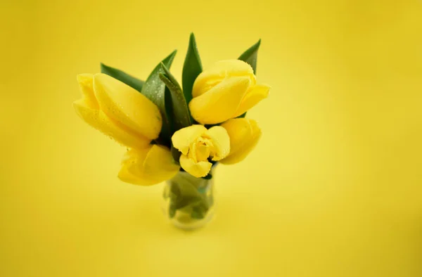 Gele Tulpen Stock Afbeeldingen Gele Tulpen Gele Achtergrond Lente Florale — Stockfoto