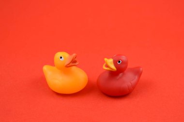 Kırmızı arkaplanda izole edilmiş şirin plastik ördekler. Kırmızı arka planda oyuncak plastik ördek. Kırmızı ve sarı plastik ördek. Birkaç ördek stoku fotoğrafı.
