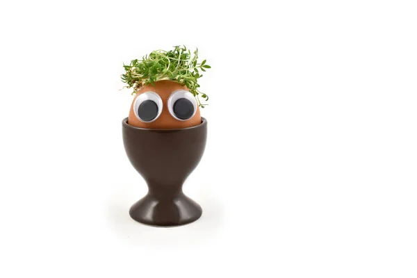 Αυγό Πρόσωπο Στοκ Εικόνες Χαρούμενος Χαρακτήρας Αυγού Αστείο Πασχαλινό Αυγό — Φωτογραφία Αρχείου