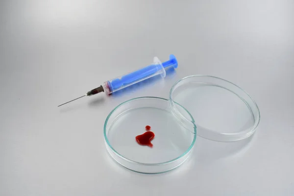 Placa Petri Com Imagens Sangue Placa Petri Com Sangue Sobre — Fotografia de Stock