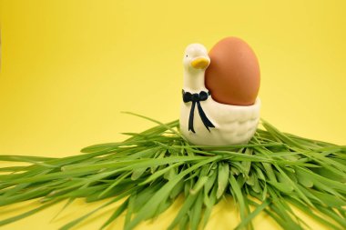 Yumurta hazır görüntüler ile kaz. Paskalya yortusu yumurta sarı bir arka plan üzerinde. Bahar dekorasyon resimleri. Tavuk yumurta tutucu