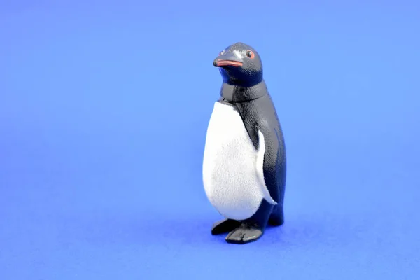 Pinguin Spielzeug Archivbilder Pinguin Spielzeug Auf Blauem Hintergrund Pinguinfigur — Stockfoto