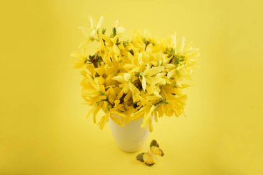 Hor çiçeği hazır görüntüler. Sarı buket Sarı zemin üzerine. Bahar çiçek dekorasyon. Bahar arka plan kavramı