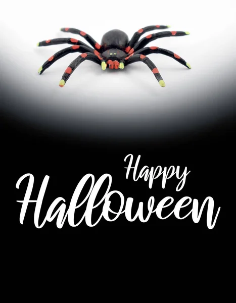 Fröhliches Halloween-Zeichen mit Spinnenabbildung — Stockfoto