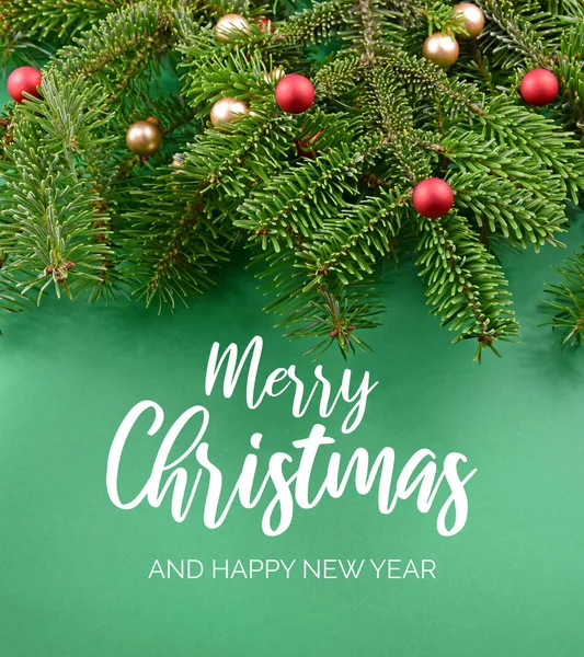 Merry Christmas and Happy New Year Sign with spruce branch — Stock Photo, Image