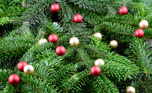 圣诞树枝条上的圣诞装饰品上挂着圣诞枝条的图像 圣诞树树枝上的圣诞装饰球 云杉枝上的金色和红色圣诞装饰品 美丽的自然圣诞背景 — 图库照片