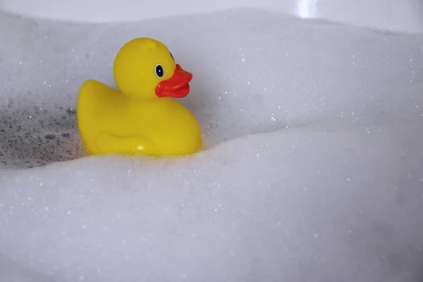 Yellow rubber duck in the bath stock images. Bath with foam images. Bath with duck. Yellow plastic duck in the bath stock images