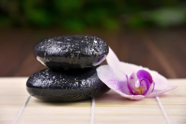 Massage stones with orchid stock images. Spa and wellness setting stock images. Pile of black stones. Black stones on a nature background. Spa-concept with zen stones and orchid flower stock images