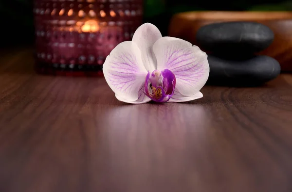 Violette Orchidee Auf Einem Hölzernen Hintergrund Stock Bilder Weiße Orchideenblume — Stockfoto