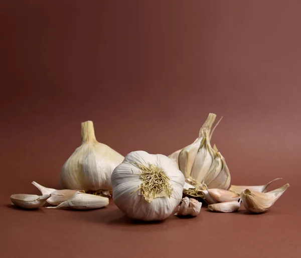 Garlic bulb and cloves stock images stock images. Pile of garlic stock images. Garlic isolated on a brown background with copy space for text. Garlic frame stock images