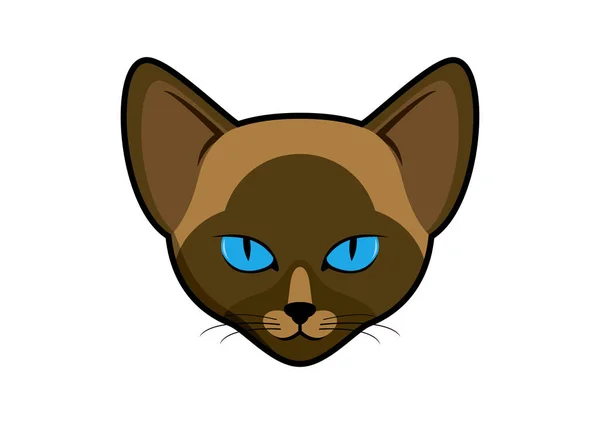 Siamese Cat Head Vector Brown Cat Blue Eyes Vector Cat — Stock Vector