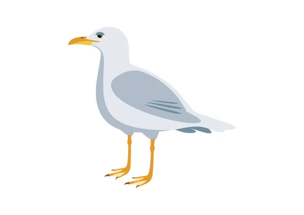 Vecteur Icônes Couleur Oiseau Mouette Mouette Isolée Sur Fond Blanc — Image vectorielle