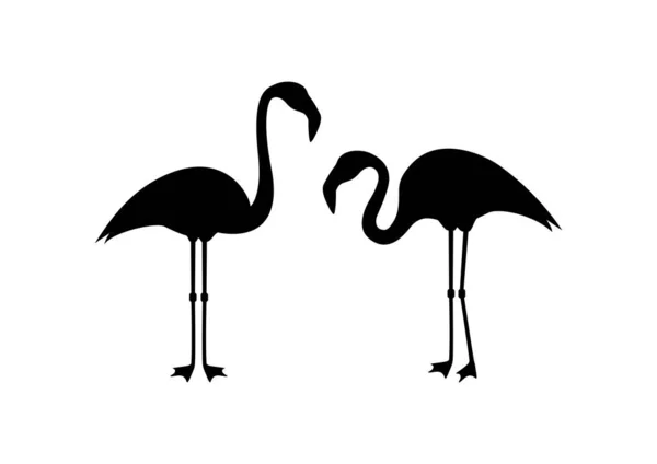 Ensemble Icônes Silhouette Noire Flamingo Vecteur Flamant Rose Isolé Sur — Image vectorielle